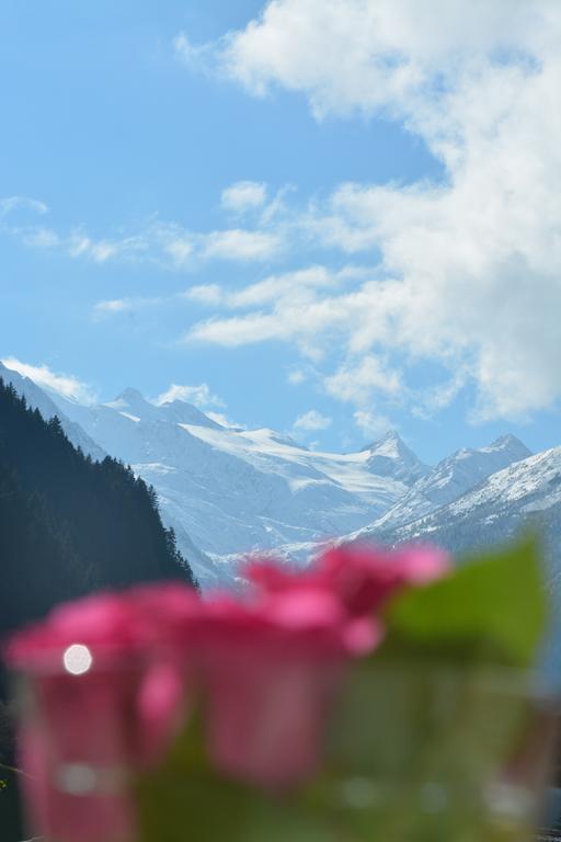 Alexandra'S Apartment Neustift im Stubaital Εξωτερικό φωτογραφία